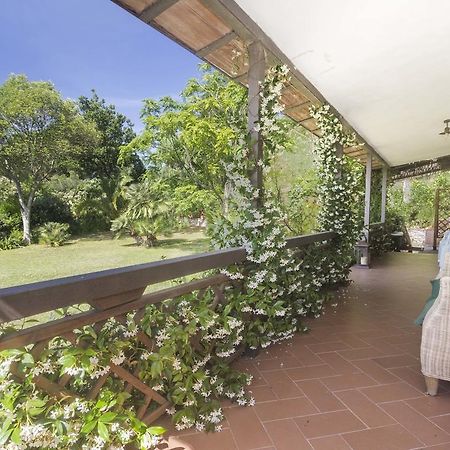 Villa Monserrato - Goelba Porto Azzurro Zewnętrze zdjęcie