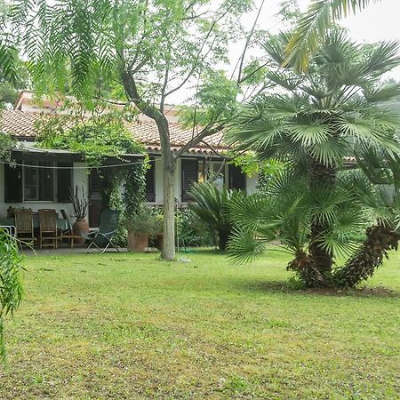 Villa Monserrato - Goelba Porto Azzurro Zewnętrze zdjęcie