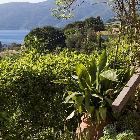 Villa Monserrato - Goelba Porto Azzurro Zewnętrze zdjęcie
